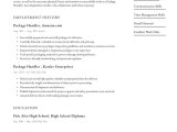 Sample Summary for Baggage Handler Position In A Resume Package Handler Resume Example & Writing Guide Â· Resume.io