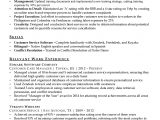 Sample Summary for Resume for Customer Service 30 Customer Service Resume Examples Templatelab