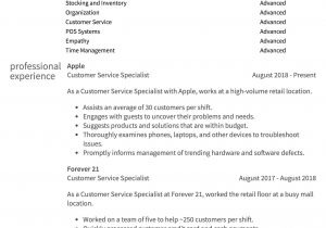 Sample Summary for Resume for Customer Service Best Call Center Customer Service One Page Resume Sample