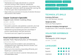Sample Summary for Resume for Customer Service Customer Service Resume [2021] Examples & Guide