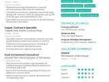 Sample Summary for Resume for Customer Service Customer Service Resume [2021] Examples & Guide