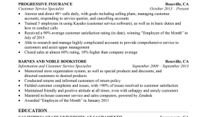 Sample Summary for Resume for Customer Service Customer Service Resume Sample Resume Panion