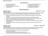Sample Summary for Resume In Accounting Accounting, Auditing, & Bookkeeping Resume Samples Professional …