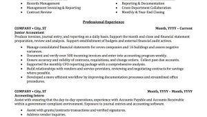 Sample Summary for Resume In Accounting Accounting, Auditing, & Bookkeeping Resume Samples Professional …