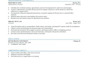 Samples Of Different Styles Of Resumes 12 13 Type Of Resume format