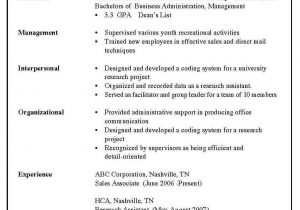 Samples Of Different Styles Of Resumes 3 Types Resume formats Resume format