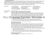 Samples Of Education Resumes Depaul Unv Resume Sample Gallery – Pro Resume Center