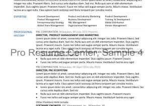 Samples Of Education Resumes Depaul Unv Resume Sample Gallery – Pro Resume Center Samples Of Education Resumes Depaul Unv Resume Sample Gallery – Pro Resume Center