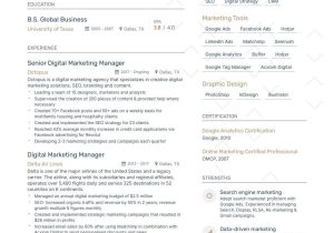 Samples Of Entry Level Marketing Resumes Digital Marketing Resume Examples & Guide for 2022 (layout, Skills …