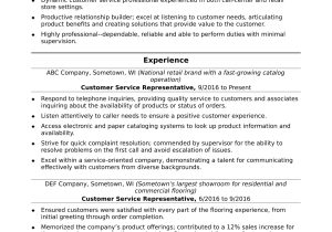 Samples Of Excellent Customer Service Resumes Entry-level Customer Service Resume Sample Monster.com