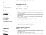 Samples Of Executive Summary for Resume Executive Resume Examples & Writing Tips 2022 (free Guide)