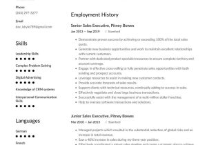 Samples Of Executive Summary for Resume Executive Resume Examples & Writing Tips 2022 (free Guide)