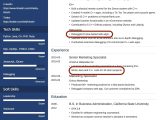 Samples Of Experience Summary On Resume 25lancarrezekiq Professional Resume Summary Examples (lancarrezekiqhow-to Guide)