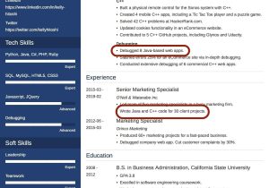 Samples Of Experience Summary On Resume 25lancarrezekiq Professional Resume Summary Examples (lancarrezekiqhow-to Guide)