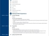 Samples Of Functional Chronological Combination Resumes for event Planners Chrono-functional Resume: format, Templates & Example