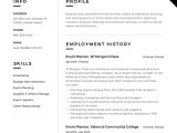 Samples Of Functional Chronological Combination Resumes for event Planners Guide: event Planner Resume 12 Templates Pdf 2022