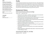 Samples Of Functional Resumes Account Executive Account Executive Resume Example & Writing Guide Â· Resume.io