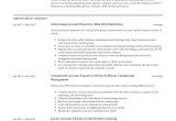 Samples Of Functional Resumes Account Executive Account Executive Resume & Guide 18 Templates 2022
