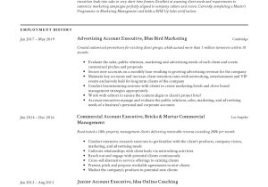 Samples Of Functional Resumes Account Executive Account Executive Resume & Guide 18 Templates 2022