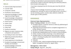 Samples Of Good Vp Sales Resumes Sales Manager Resume Sample 2022 Writing Tips – Resumekraft