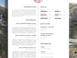Samples Of Ideas Sentences for Resumes 20 Creative Resume Examples for Your Inspiration Skillroads.com …