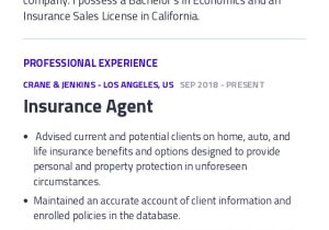 Samples Of Insurnace Mail Room Clerk Resume Insurance Agent Resume Example with Content Sample Craftmycv