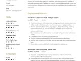 Samples Of New Homes Consultants Resumes New Home Sales Consultant Resume Example & Writing Guide Â· Resume.io