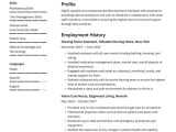 Samples Of Nursing Summaries On A Resume Nursing Home Resume Examples & Writing Tips 2022 (free Guide)