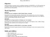 Samples Of Objectives for A Resume In Customer Service Customer Service Resume Examples
