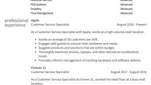 Samples Of Objectives for Customer Service Resumes Customer Service Resume Samples & How to Guide