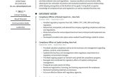 Samples Of Objectives On A Resume for Auto Insurance Compliance Officer Resume Examples & Writing Tips 2022 (free Guide)