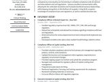 Samples Of Objectives On A Resume for Auto Insurance Compliance Officer Resume Examples & Writing Tips 2022 (free Guide)