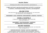 Samples Of Personal Brand Statements On Resumes Personal Statement Examples for Jobs Personal Statement Examples …