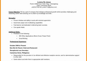 Samples Of Professional Objective for A Resume Generic Objective for Resume Inspirational General Resume …