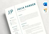 Samples Of Professional Resumes and Cover Letters Professional Resume Template – Cv Template Cover Letter