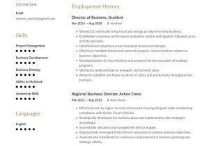 Samples Of Resume Summary Of Qualifications Business and Management Resume Examples & Writing Tips 2022 (free
