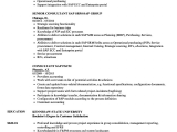 Sap B1 Functional Consultant Resume Sample Consultant Sap Resume Samples