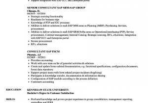 Sap B1 Functional Consultant Resume Sample Consultant Sap Resume Samples