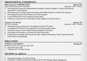 Sap B1 Functional Consultant Resume Sample Sap B1 Consultant Resume Sample Resume Panion