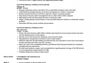 Sap B1 Functional Consultant Resume Sample Sap Fico Resume 5 Years Experience Download