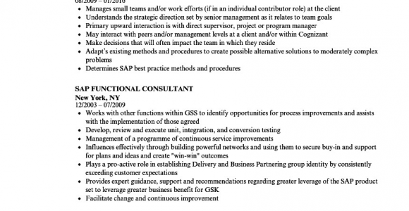 Sap B1 Functional Consultant Resume Sample Sap Fico Resume 5 Years Experience Download