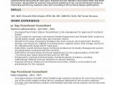 Sap B1 Functional Consultant Resume Sample Sap Functional Consultant Resume Samples