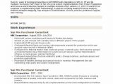 Sap B1 Functional Consultant Resume Sample Sap Mm Functional Consultant Resume Samples