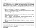 Sap B1 Functional Consultant Resume Sample Sap Sd Functional Consultant
