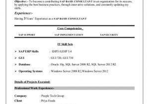 Sap Basis Sample Resume for 3 Years Experience Mubashir Ahmed Erp Sap Basis Consultant Resume with 3 Yr Exp