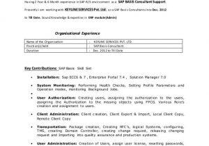 Sap Basis Sample Resume for 3 Years Experience Sap Basis 2 5 Yr Exp Resume Sap Basis Sample Resume for 3 Years Experience Sap Basis 2 5 Yr Exp Resume