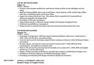 Sap Bi Resume Sample for Fresher Great Sap Pm Fresher Resume format Infographic Cv Template
