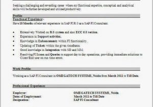 Sap Fico End User Resume Sample for Freshers Sap Fico Fresher Resume Doc Resume Resume Examples