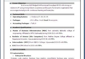 Sap Fico Sample Resume for Experienced Sap Fico Resume 3 Years Experience