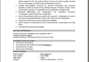 Sap Fico Sample Resume for Freshers Sap Fico Consultant Resume Download 1 Jpg 579×744